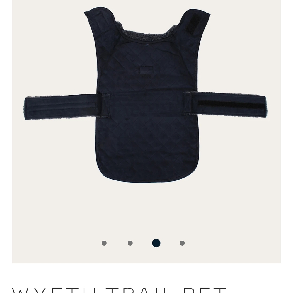 Wyeth Trail Pet Vest - Black